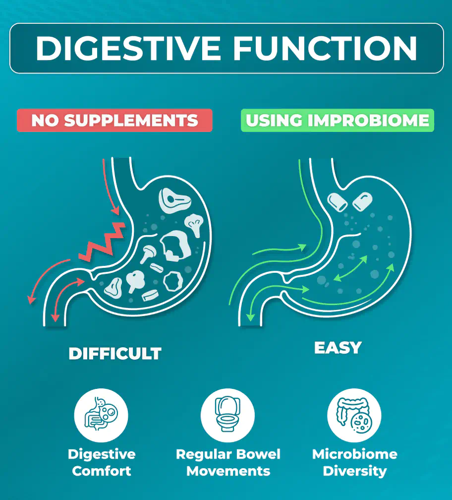 digestive function