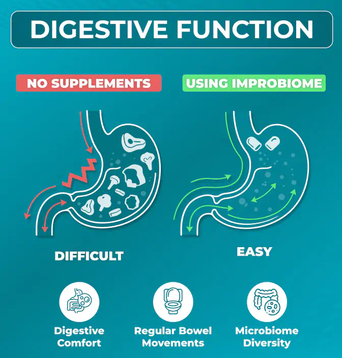 digestive function