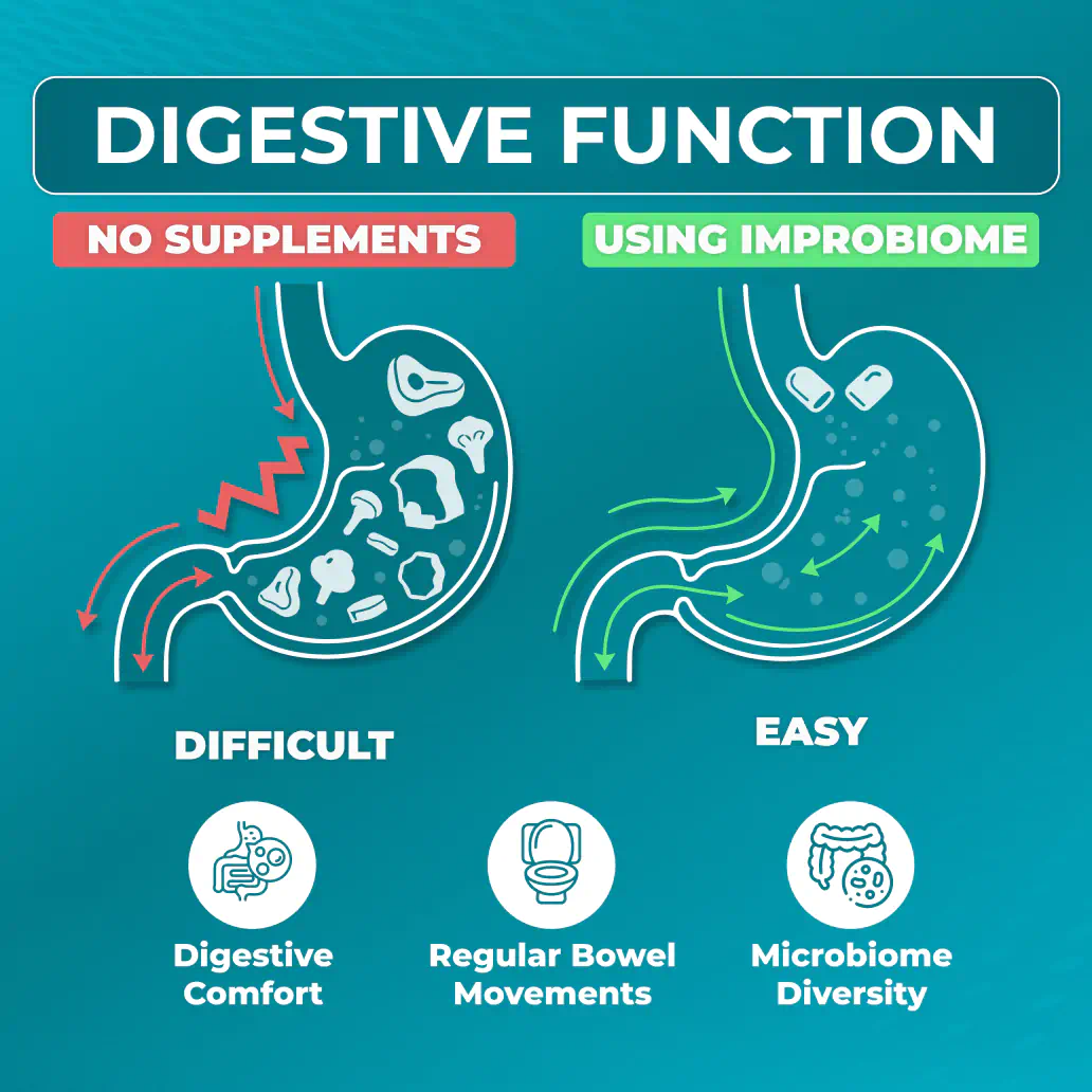 digestive function