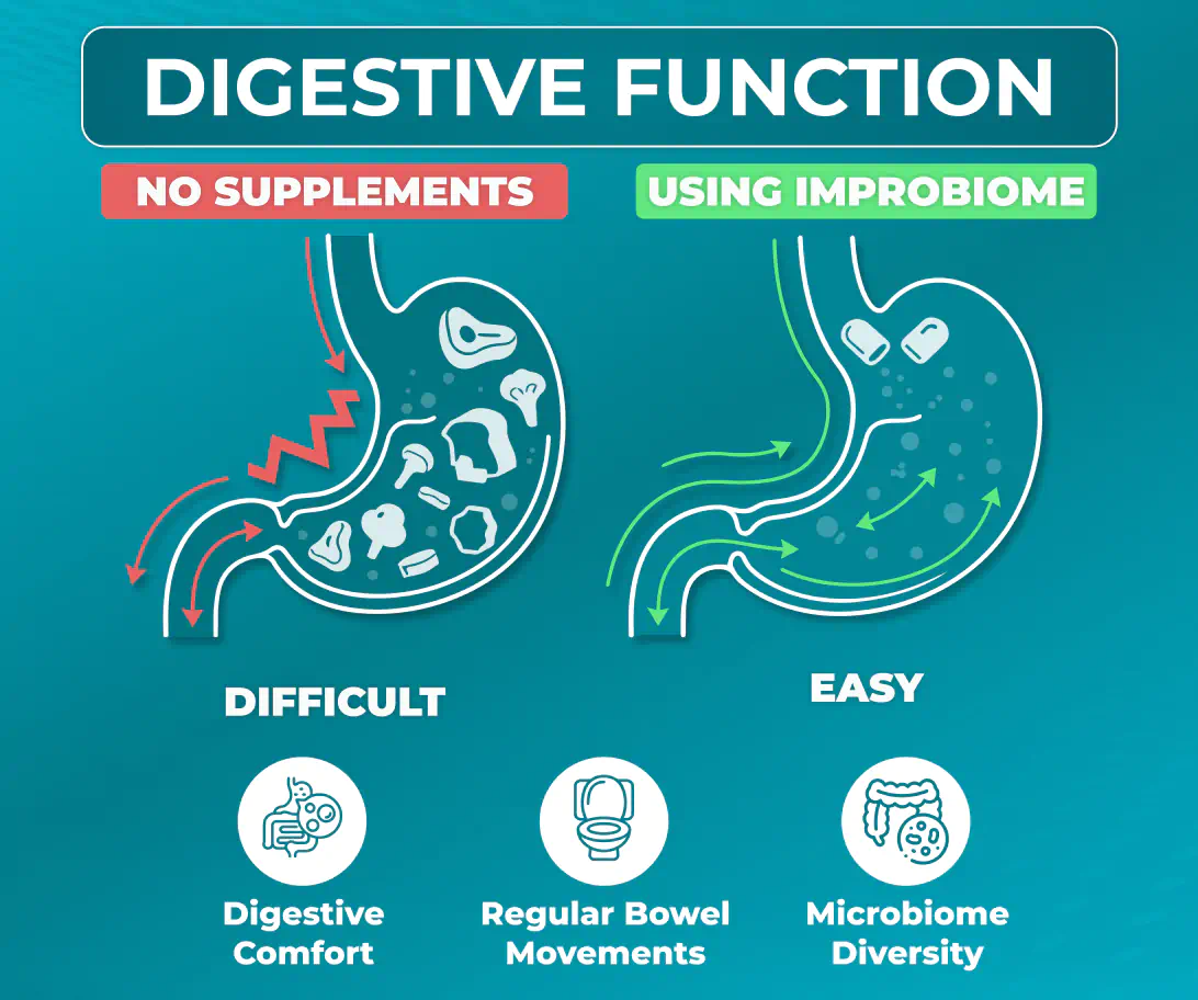 digestive function