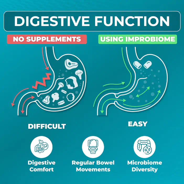 digestive function
