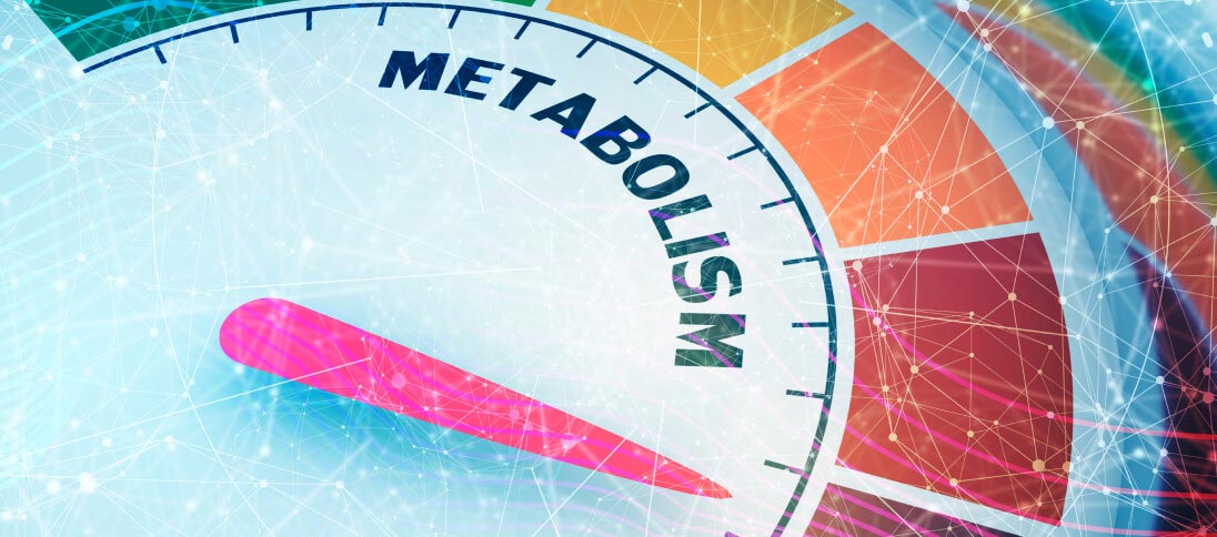 metabolism levels