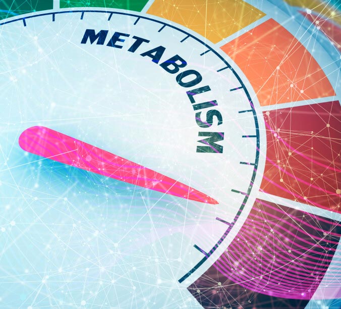 metabolism levels