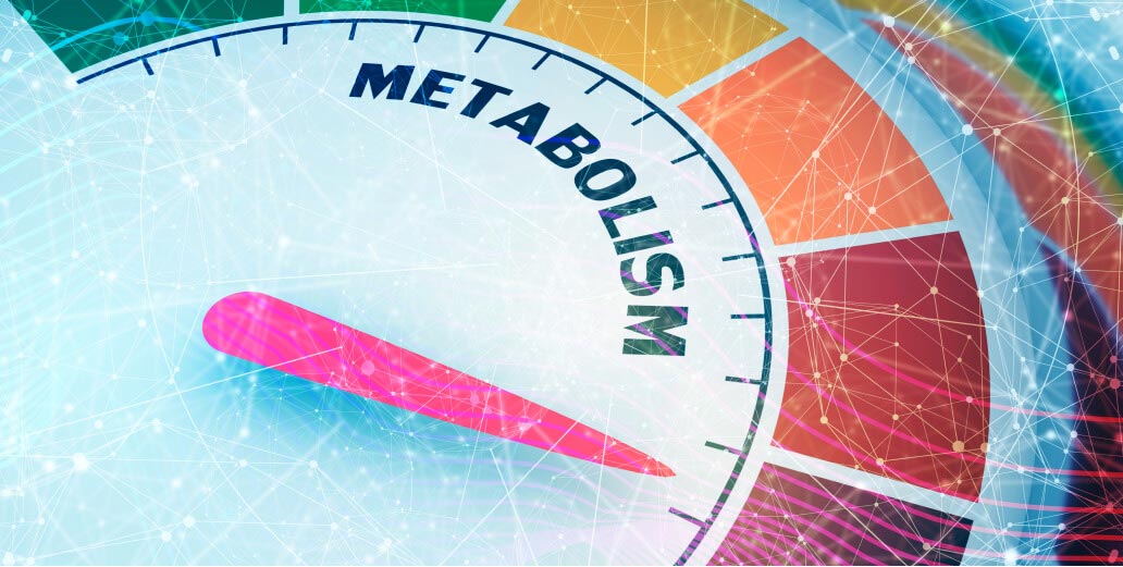 metabolism levels
